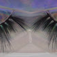 Crystal Collection-Rider-Faux Mink Eyelashes